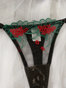 Detailed macro view of black mesh lace thong with exquisite floral embroidery and satin trim