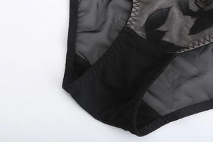 Detail of floral embroidery on sheer mesh fabric with reinforced zigzag stitching