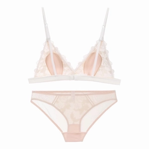 Detail of French lace bralette set with rose embroidery and sheer mesh panels