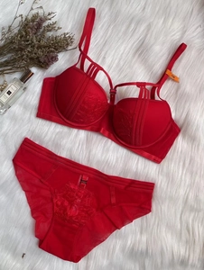 Detailed view of red lace push-up lingerie set with harness straps and mesh embroidery