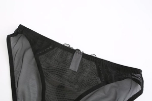 Detail of semi-transparent black mesh fabric and elastic waistband on lace panties