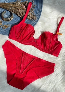 Detail view of red French lace embroidery lingerie set with matching bra and panty set