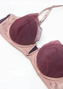 Detail showing the V-shape bridge and sheer mesh overlay on this French style lace bra
