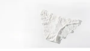 Detailed view of elegant white lace panties with sheer floral embroidery and soft edges