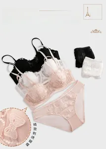 Detail of delicate butterfly embroidery on sheer lace bra and matching panty set