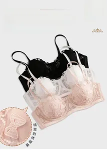 Close-up of exquisite butterfly embroidery on a sheer French style lace bra