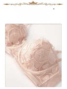 Detail of embroidered bow patterns on a skin-tone lace bra with 3D molded cups