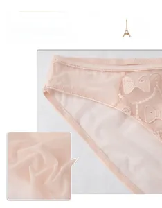 Detail of skin-pink mesh lace panties with butterfly embroidery and soft fabric texture
