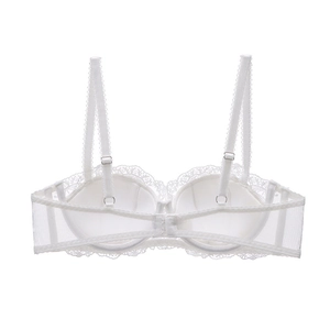 Detailed view of intricate white lace embroidery and sheer mesh wings on the bra