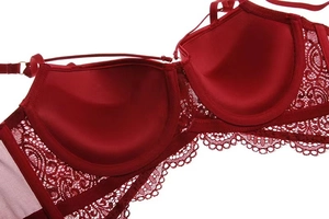 Detail der roten Floral-Spitzen-BH mit Innenfutter und verstellbaren Schultergurten