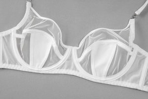 Detail of white mesh lace bra featuring satin borders, U-shaped underwire, and metal rings