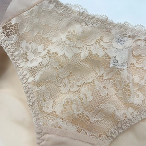Nahaufnahme der beigen floralen Spitzenstickerei und Mesh-Details am Damen-Slip