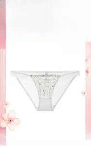 Detail of white mesh panties featuring gold floral embroidery and lace trim on pink decor