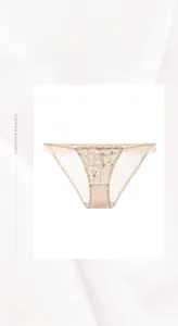 Detail view of beige lace mesh underwear with elegant floral embroidery and wavy edges