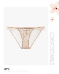 Detail of beige lace panties with floral embroidery and breathable mesh dot texture