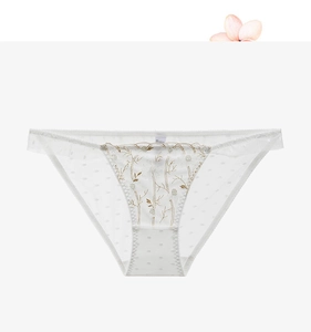 Close-up of white mesh panties with floral embroidery and delicate lace trim detail