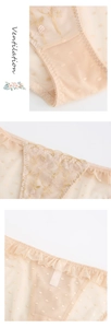 Detail of beige lace panties featuring floral embroidery and mesh dot fabric