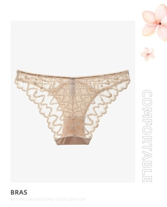 Detail view of champagne mesh lace panties with elegant scallop lace trim and soft texture