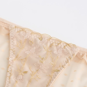 Champagne mesh low-rise panties with golden floral embroidery and scalloped lace trim