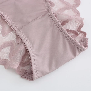 Lace mesh seamless low-rise briefs for women with delicate floral embroidery details