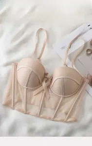 Close-up of French corset bra with sheer mesh wings and a delicate silk center bow