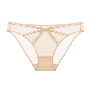 Detail of sheer mesh lace panties with a central satin bow and V-shape ribbon accents