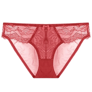 Détail d'une culotte en dentelle rouge pour femme avec nœud en soie et broderies