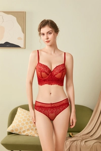 Close-up of red floral lace embroidery and delicate bow on a French style bra set