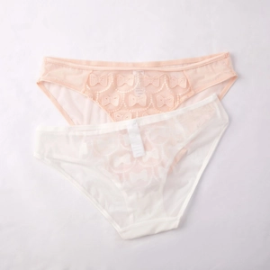 Close-up of sheer mesh lace panties featuring delicate bow embroidery and cotton lining