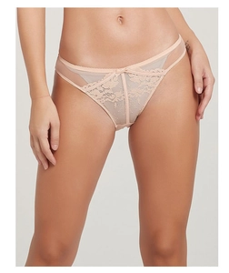 Detailed view of floral lace embroidery and sheer mesh on nude low-rise panties