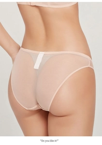 Detail view of women's nude sheer mesh lace panties with breathable fabric and back design