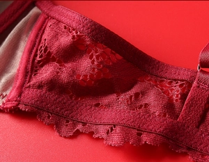 Close-up of intricate red floral lace fabric and delicate mesh lining on a French bra