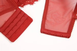 Detailed close-up of red lace bra featuring a four-row hook and eye back closure