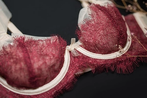 Macro shot of French ultra-thin eyelash lace bra with contrast bow and underwire detail