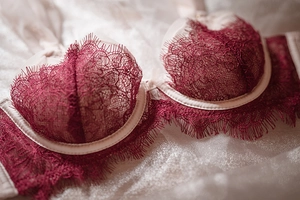 Detailed close-up of dark red eyelash lace on the bra cup with sheer underwire mesh