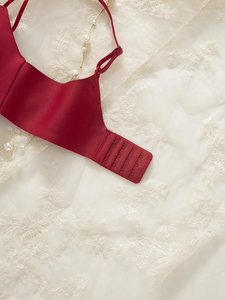 Detail of burgundy seamless bra showing the adjustable four-row hook and eye back closure