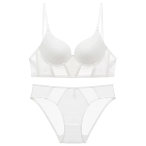 White seamless French U-shaped bra and mesh panty set for a minimalist aesthetic