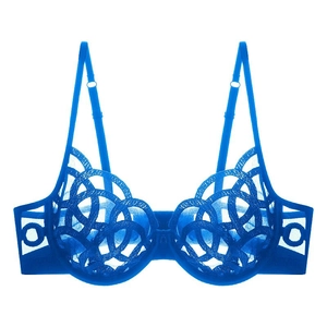Detailed view of royal blue lace bra with elegant embroidery and sheer mesh texture