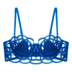 Bralette en dentelle bleu vif avec mesh transparent et motifs floraux brodés