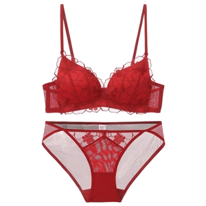 Sexy red floral lace lingerie set with non-wired bra and matching panty in French style