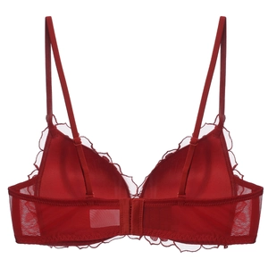 Detailed back view of red lace bra featuring sheer mesh panels and adjustable straps
