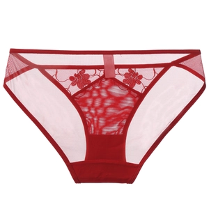 Detail of red floral lace embroidery and sheer mesh on sexy mid-rise cotton lined panties