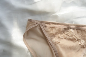 Detailed close-up of floral embroidery on nude lace mesh panties with soft lighting