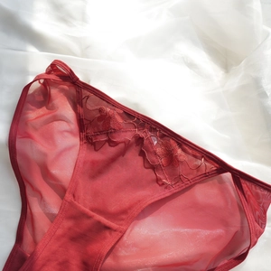 Macro detail of red lace floral embroidery on breathable mesh underwear with cotton crotch