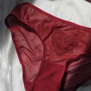 Red mesh panty with heart embroidery and lace details on white silk background