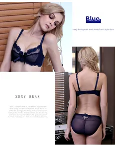 Detail view of blue lace lingerie set with bow accents and sheer mesh embroidery