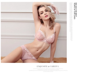 Close-up of pink lace floral embroidery on sheer mesh bra with delicate bow detail