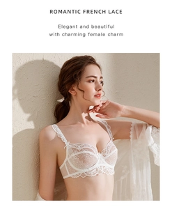 Detail of sheer floral French lace bra in off-white with delicate underwire design