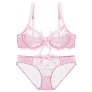 Sexy pale pink sheer lace lingerie set with floral embroidery and silk bow detail
