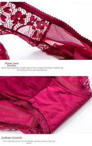 Détail de culotte en dentelle rouge et tulle transparent avec doublure en coton